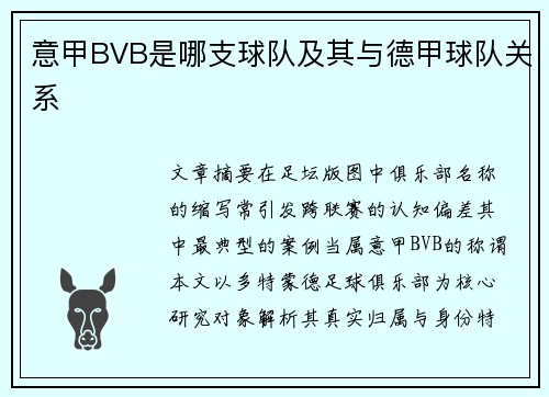 意甲BVB是哪支球队及其与德甲球队关系
