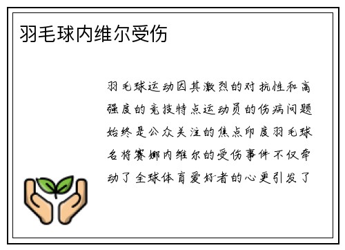 羽毛球内维尔受伤